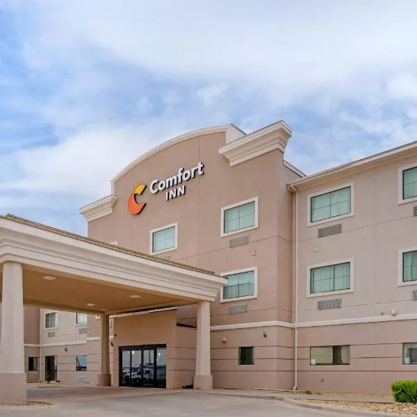 Comfort Inn I-20 Midland Stanton, hotel in Stanton