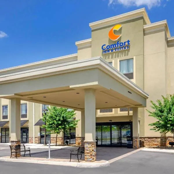 Comfort Inn & Suites Lynchburg Airport - University Area, hotel en Lynchburg
