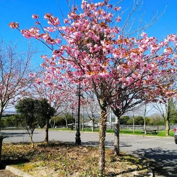 Tara View Apartments, hotel in Garristown