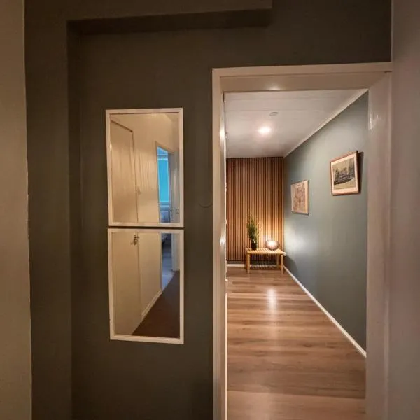Minna Canthin katu Apartment: Jyväskylä şehrinde bir otel