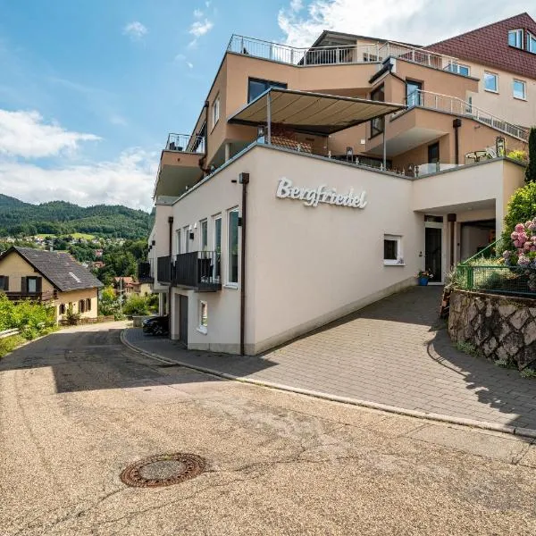 Wein- und Klimahotel Bergfriedel, hotel in Bühlertal