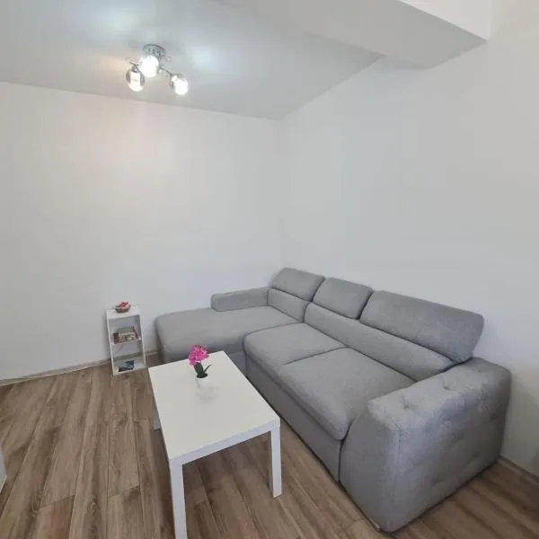 Latin studio，Bragadiru的飯店