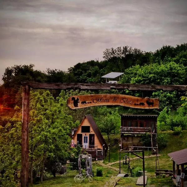 Cabana Samira Tășnad, hotel in Tăşnad