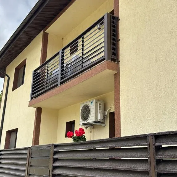 Vila Lory, hotel en Vaslui
