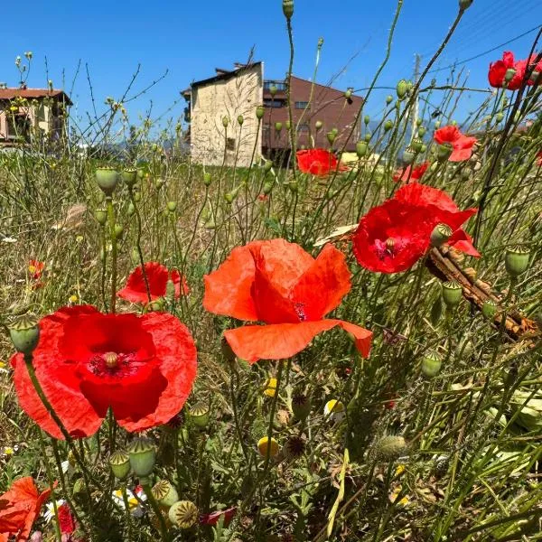 Stenata LightWill, hôtel à Banya