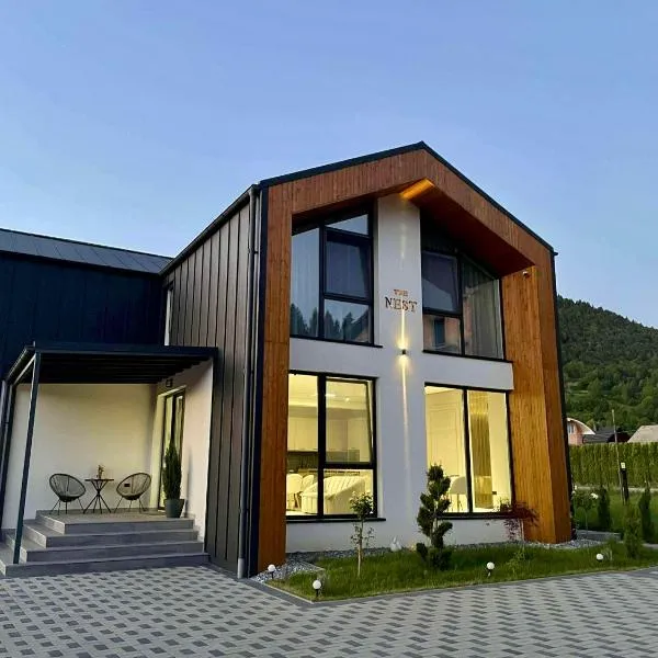 The NEST Villa, hotel in Borşa