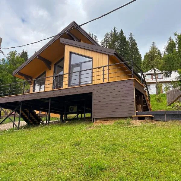 Petrick House, hotel in Verkhovyna