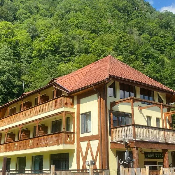 Pensiunea Tihna, отель в городе Рыу-де-Мори