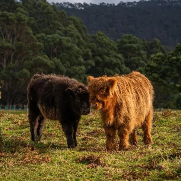 Ruby's Cottage Farm Stay, hotel sa Port Arthur