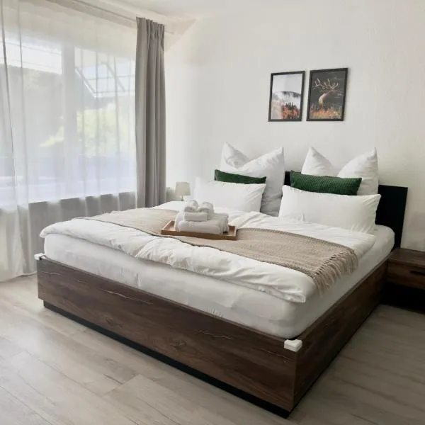 1-Zimmer-Apartment in der Nähe der Therme und Hängebrücke, hotel in Bad Wildbad