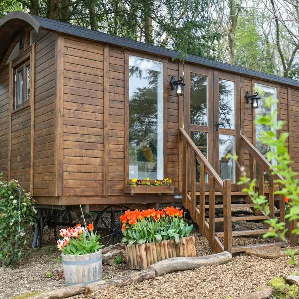 Sybs Farm Shepherds Hut, hotel in Fernhurst