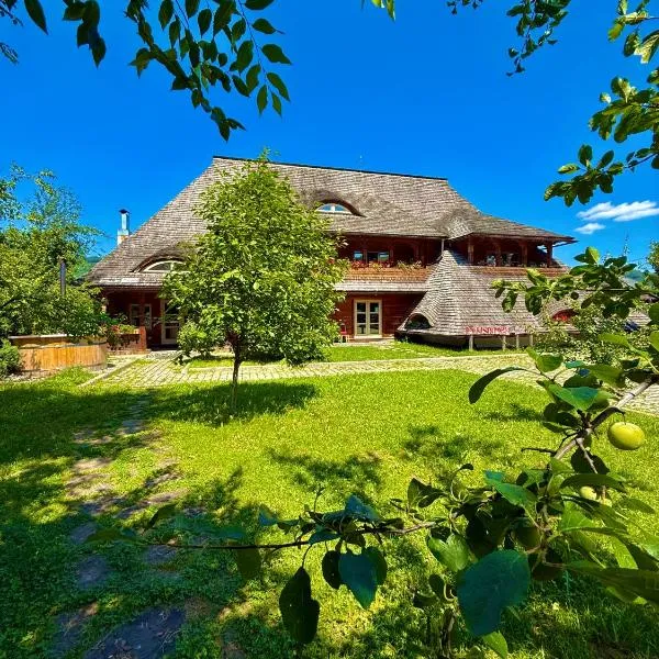 Pensiunea Iza, hotel in Vişeu de Jos