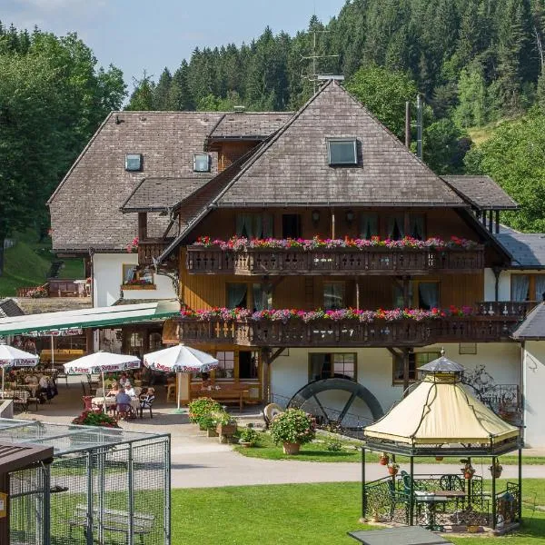 Hotel Tannenmühle, hotel v destinácii Grafenhausen