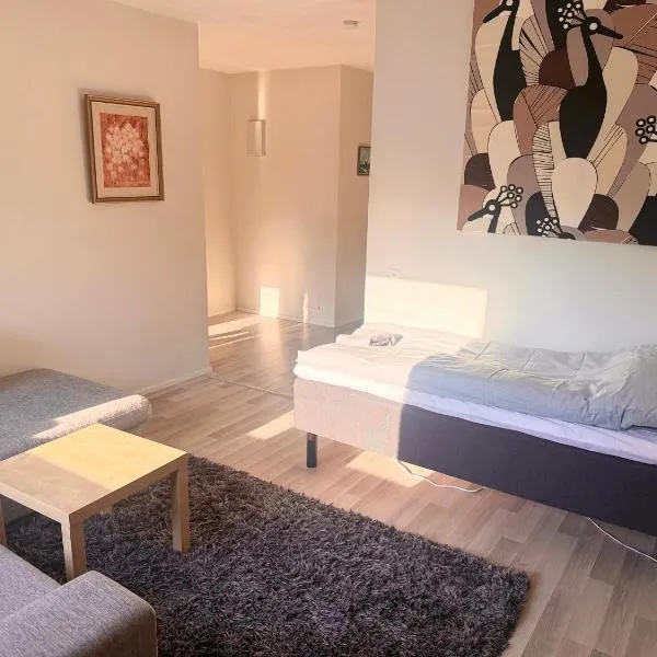Cozy 2 Bedroom Apartment Near Santa Claus Village with space for 5，位于罗瓦涅米的酒店