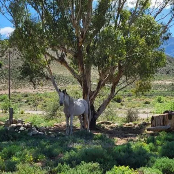 Rocky Sands - Klein Karoo R62, hotel di Plathuis