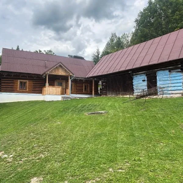 Švajkova chyža, hotel in Šumiac