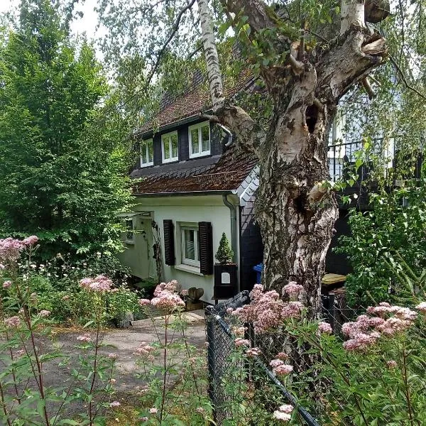 Ferienhaus Fuchs&Hase, hotel in Seelbach