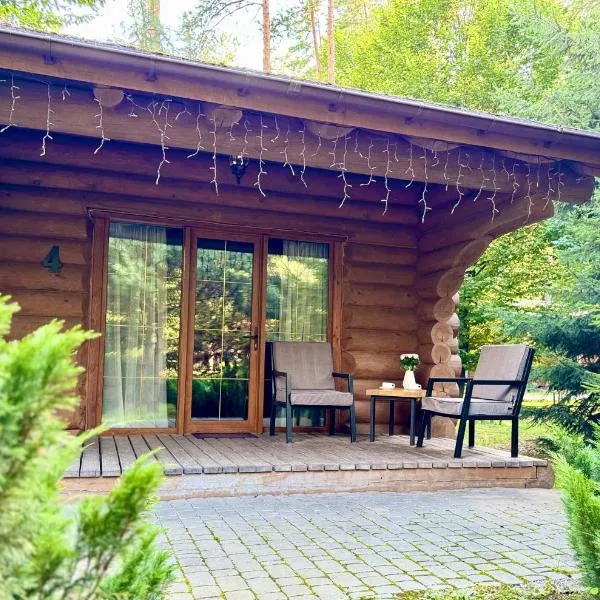 Resort Stariy Prud, hotel in Pylypovychi