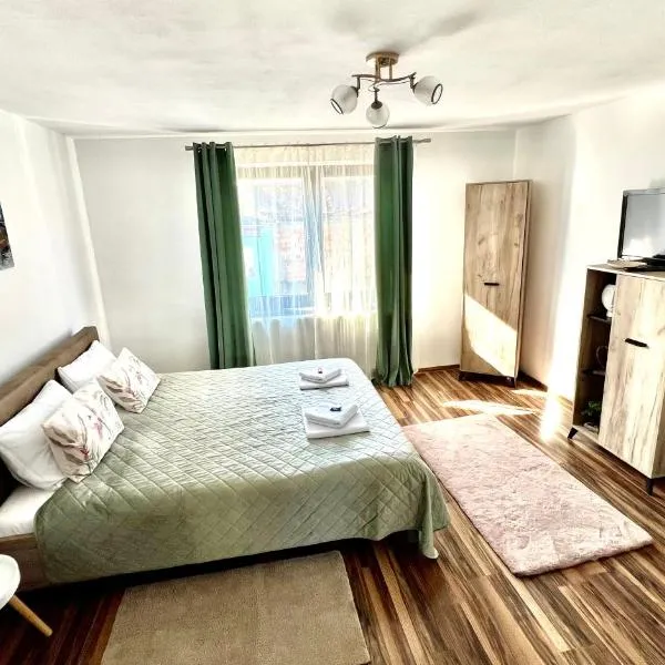 S-HOUSE Avrig Apartament Spațios cu Terasă Privată lângă Sibiu, hotel in Avrig