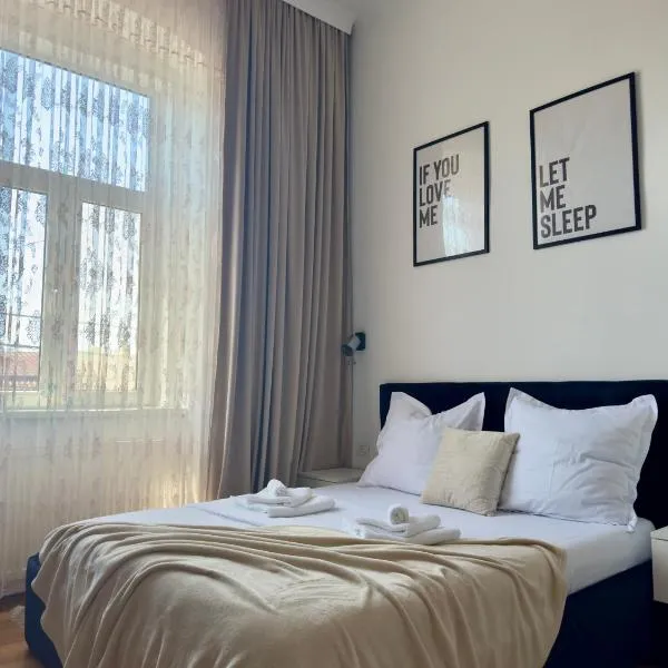 LaLumiere1930 - Historic Apartment City Center Timișoara，蒂米什瓦拉的飯店