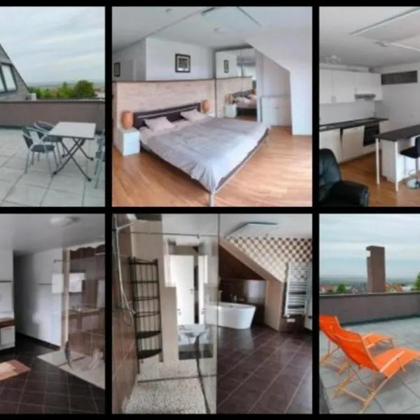 Self Check-in Self Catering Apartment mit Seeblick und Klimaanlage - Neusiedlersee, hotel in Breitenbrunn