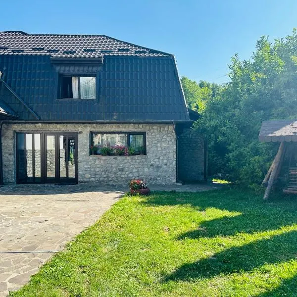 Casa Ana, hotel in Dragoslavele