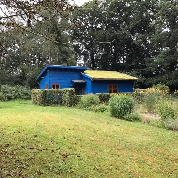Das Blaue Haus, hotel in Groß Ippener