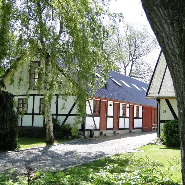 Dyssegaard B&B, hotel in Kalvehave