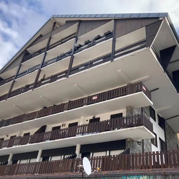 incantevole appartamento in centro a Courmayeur, hotel in Courmayeur