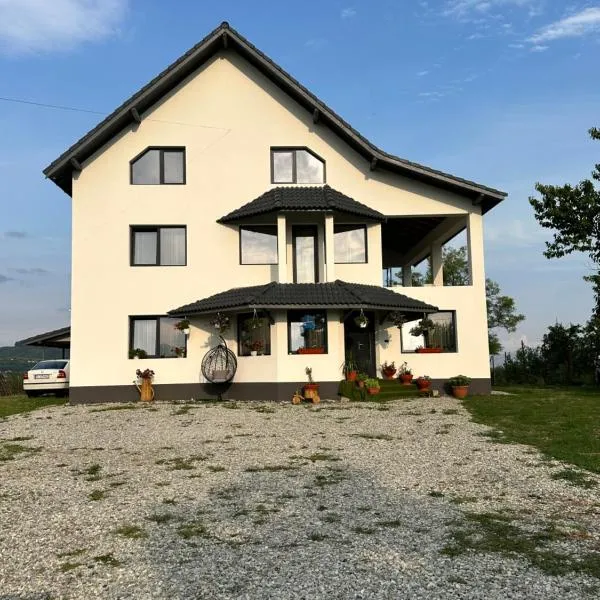 A&D House, hotel in Novaci