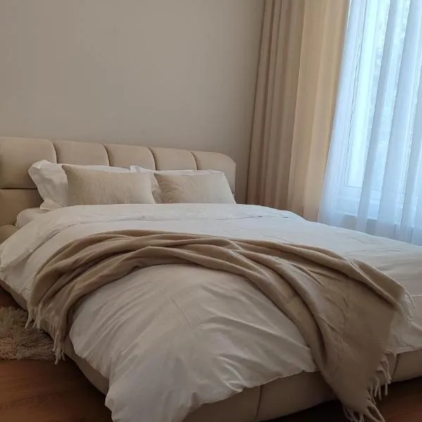 Monaco House, hotel in Chişinău