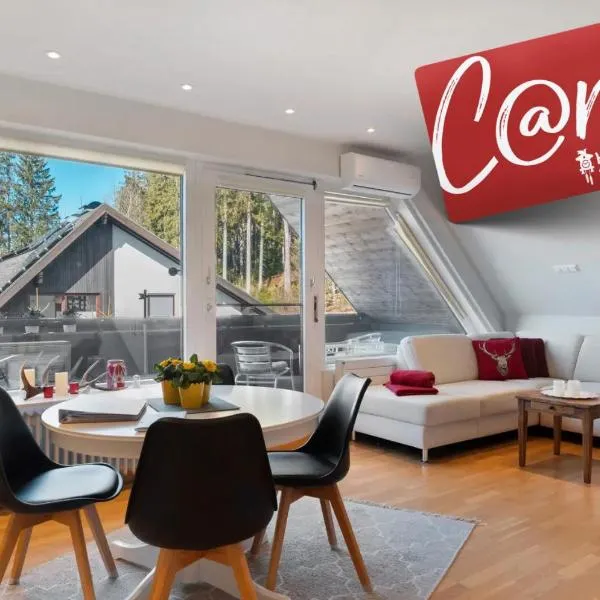 Ferienwohnung Hirschsprung Saig, hotel in Lenzkirch