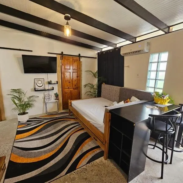 Comfy Carnival Rental, hotel v destinaci Port-of-Spain