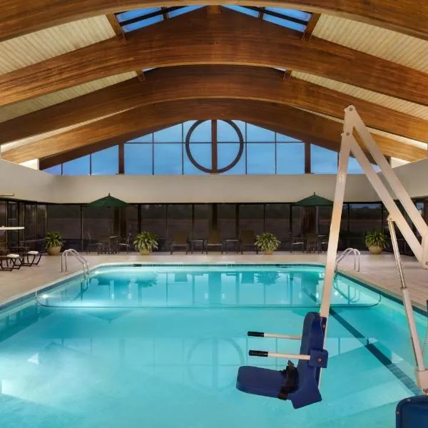 Holiday Inn Washington-Dulles International Airport by IHG, hotel a Sterling