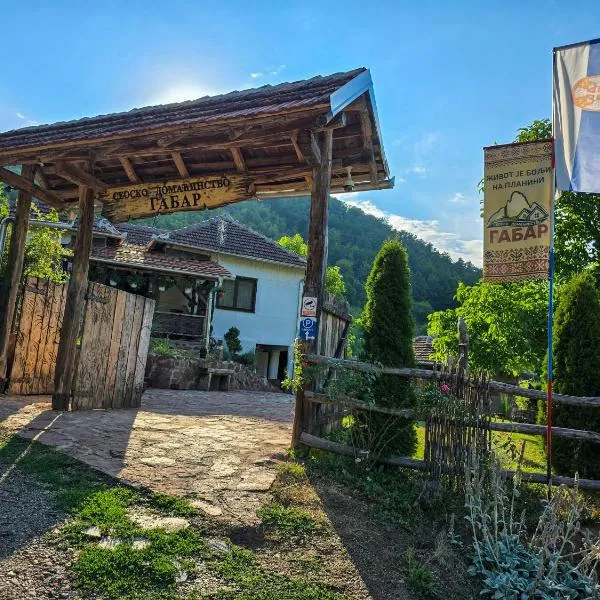Seosko domaćinstvo „GABAR”, hotel in Ćuštica