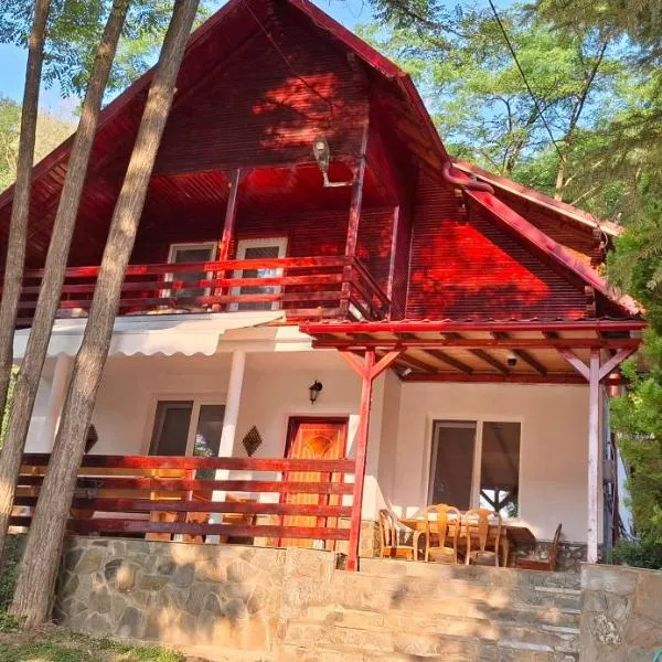 Pensiunea Geo، فندق في Lunca Mare