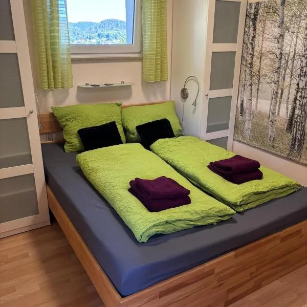 MeLou FeWo NaturQuartier Wellness, hotel in Bad Lauterberg