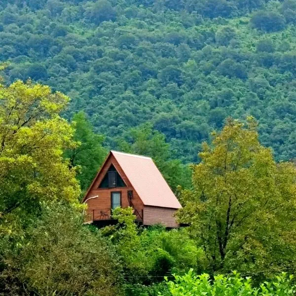 Mira Hills, hotel in Martvili