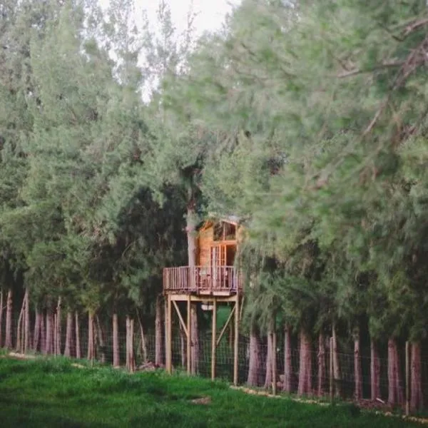 Vindoux Tree House Guest Farm & Spa, hotel a Tulbagh