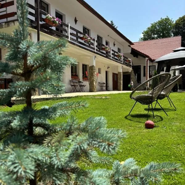 Guest House Piatra Craiului, khách sạn ở Bran