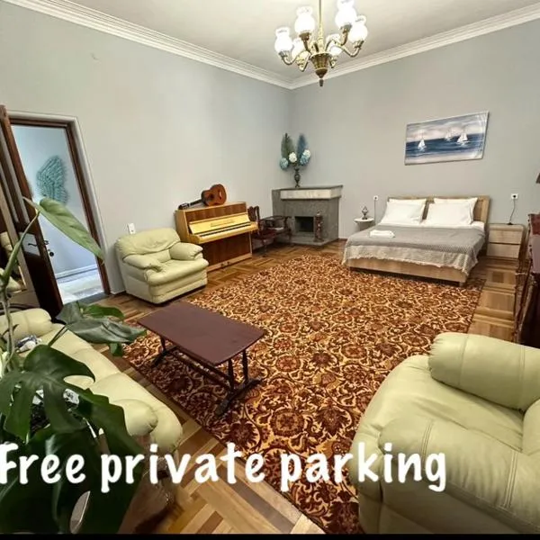 Marjanishvili wings apartment, hotel in Tbilisi City