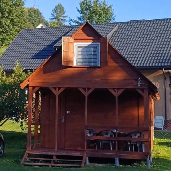 Domki Tomek Bieszczady، فندق في بولانكسيك