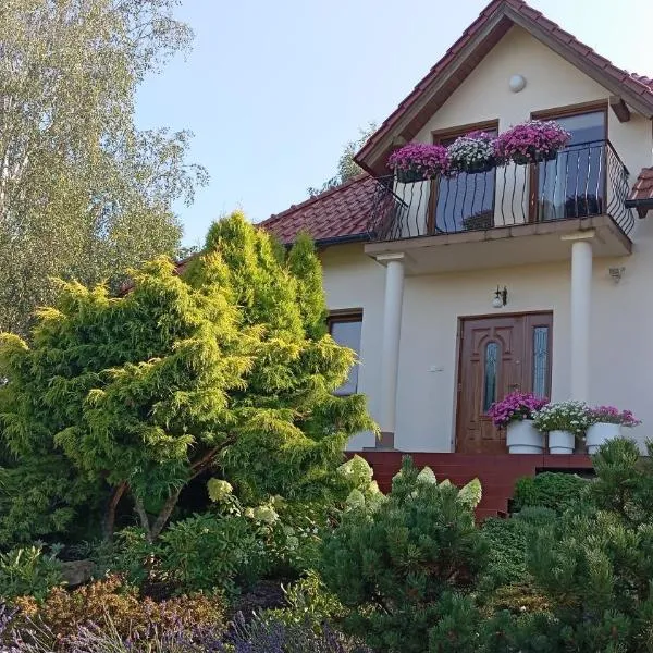 Przytulne Studio Borówkowy Zagajnik, hotel in Piechowice