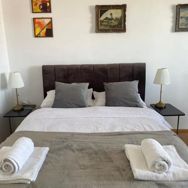 12 Home, hotel in Reghin