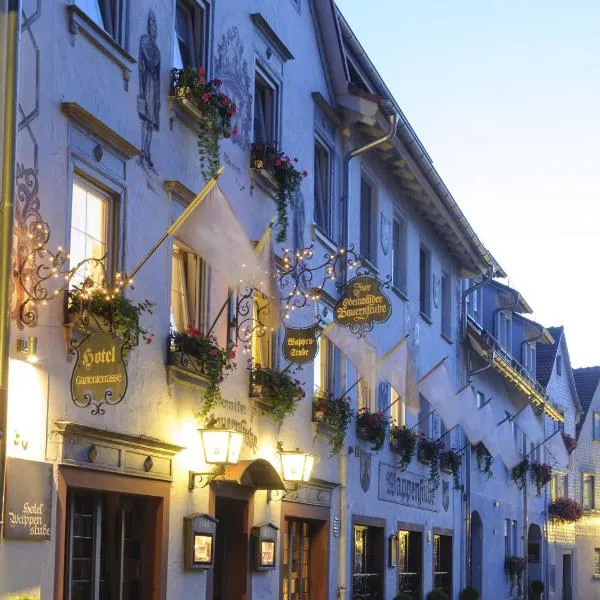 Hotel Wappenstube, hotel in Erbach im Odenwald