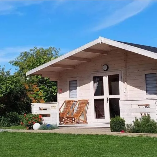 Domki Letniskowe Oses, hotel in Stegna