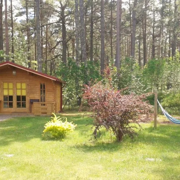 Viesu māja Klētnieki, hotel v destinaci Ģipka