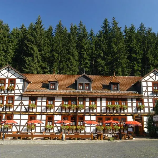 Pension Landhaus Machold, hotel v destinaci Friedrichroda