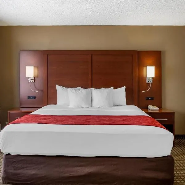 Comfort Inn & Suites Rochelle - DeKalb, hotel in Rochelle
