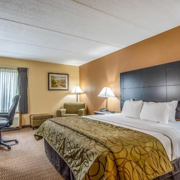 Quality Inn Tully I-81, hotel in Tully